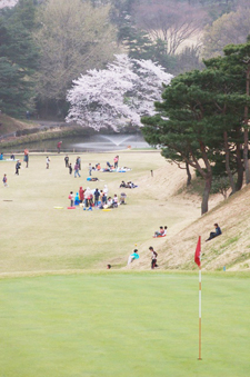 28golf