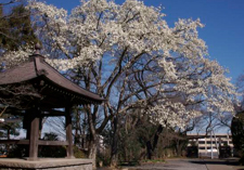 10kohukuji